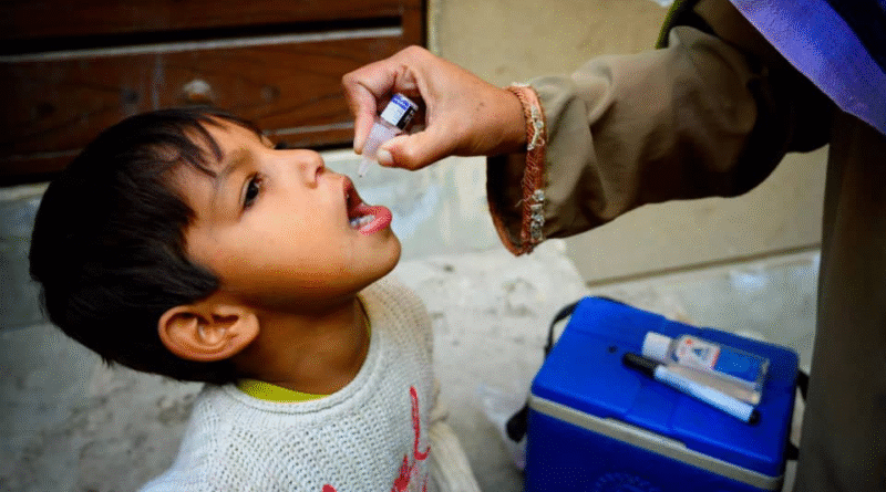 Pakistan Sees Polio Cases Fall by More Than Half Despite Security Challenges